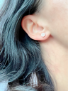 81737